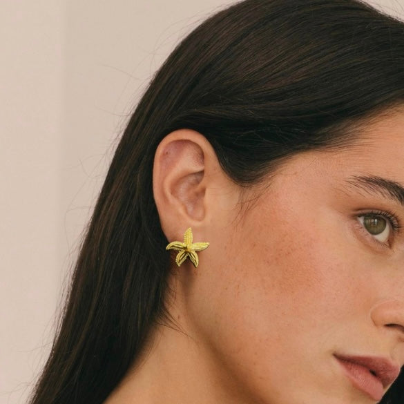 Pendientes starfish