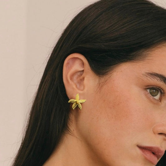 Pendientes starfish