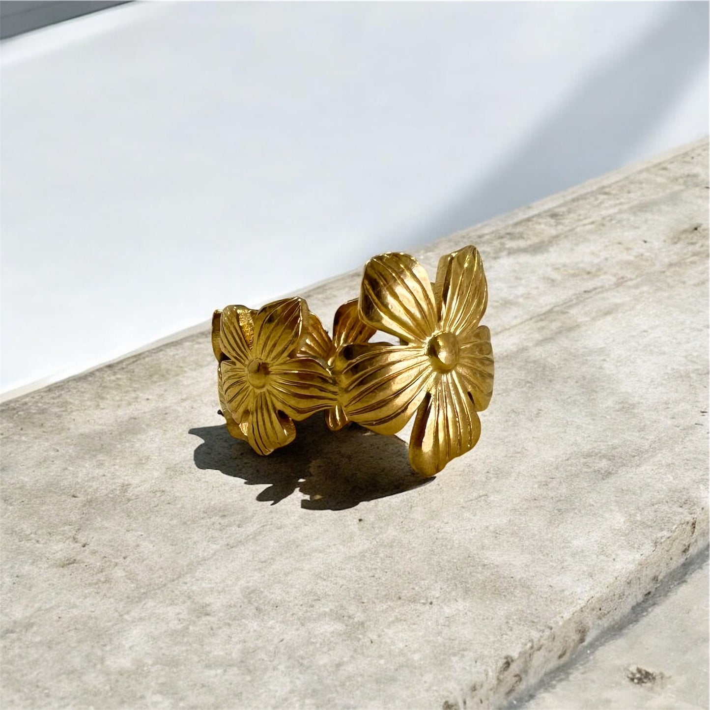 Anillos ajustables